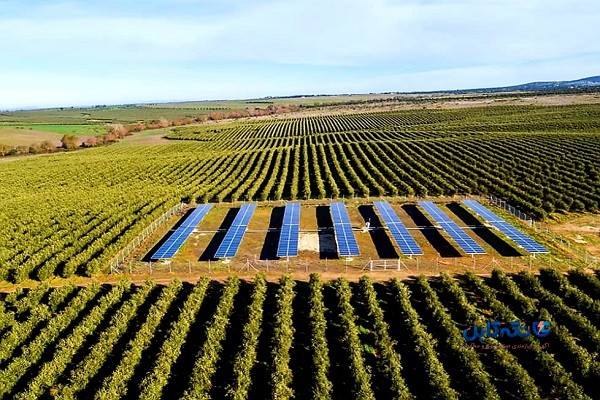 آبیاری زمین‌های کشاورزی با استفاده از انرژی خورشیدی