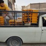 بورس فروش انواع جعبه تقسیم