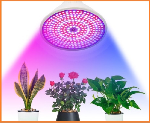 لامپ مخصوص رشد گیاه؛ چیستی، ویژگی و کاربردها