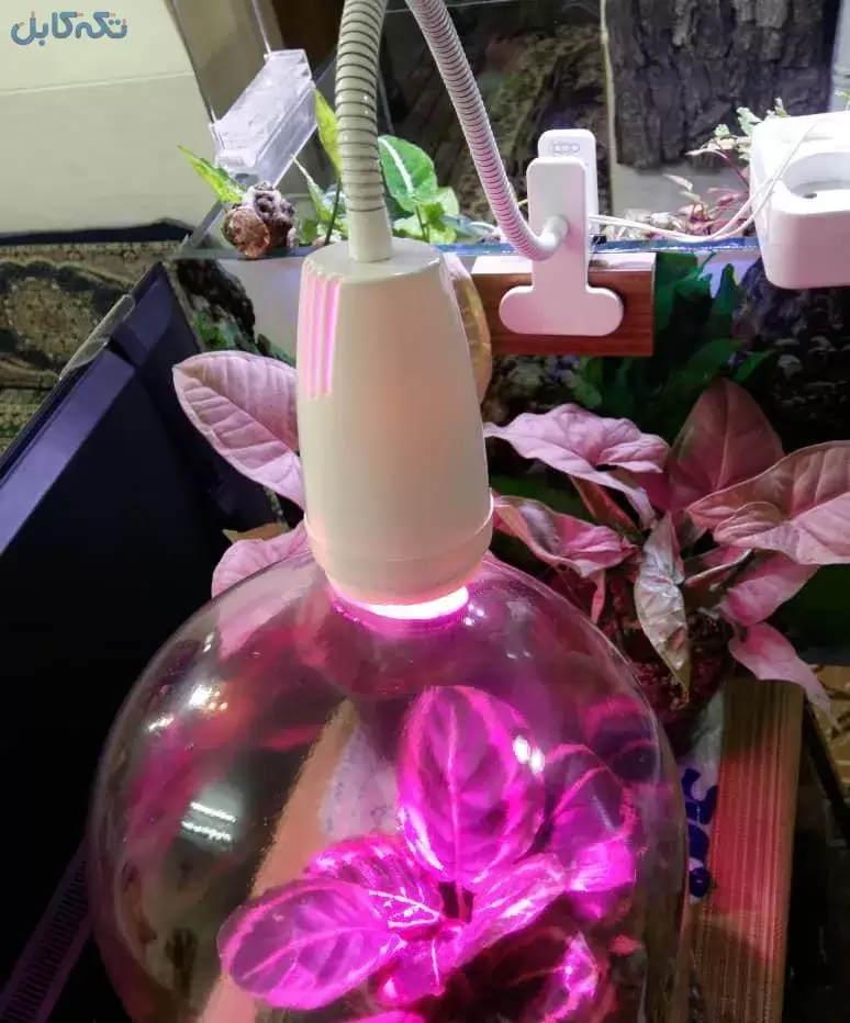 لامپ رشد گیاه فول اسپکتروم