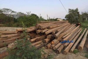 تیربرق چوبی