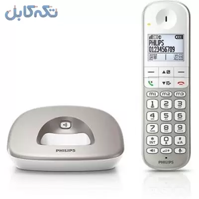 فروش تلفن بی سیم فیلیپس مدل XL4901S