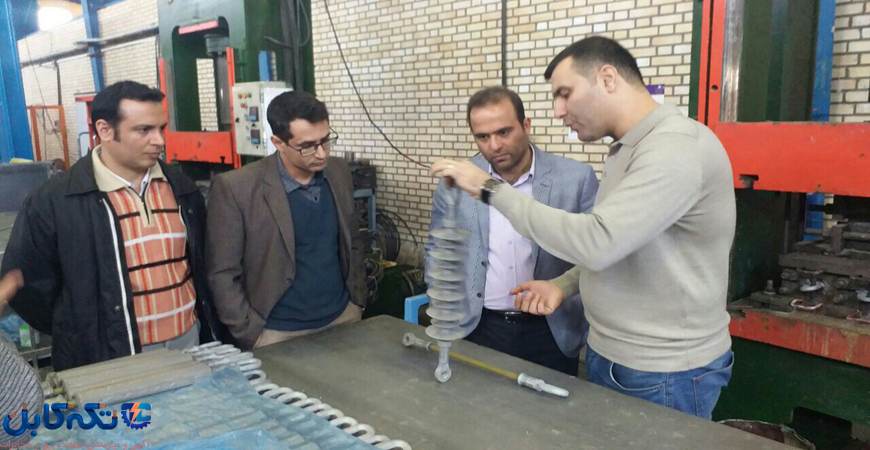 نیروی کار سخت کوش