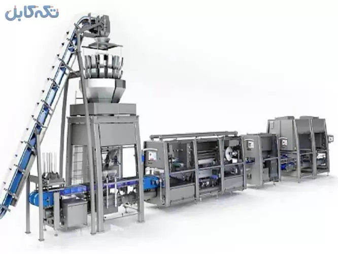 شرکت تولیدی ماشین آلات صنعتی ، خط تولید رب گوجه