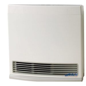 بخاری ژاپنی