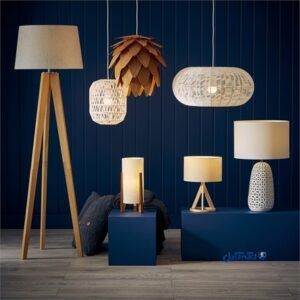 در مورد انواع آباژور بیشتر بدانید