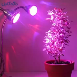لامپ رشد گیاه