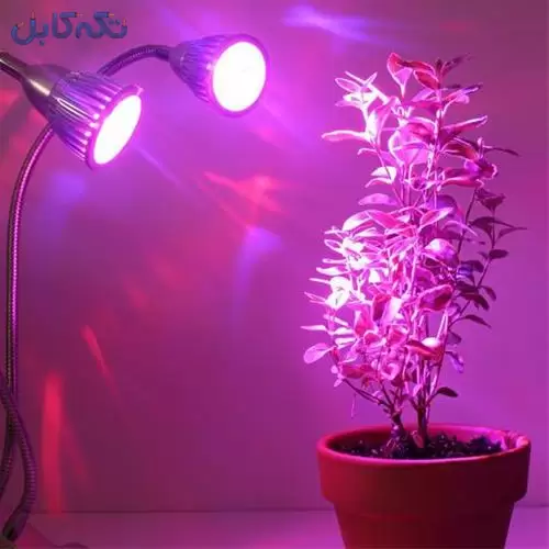 مناسب ترین قیمت لامپ رشد گیاه