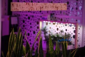 شرکت افرانور