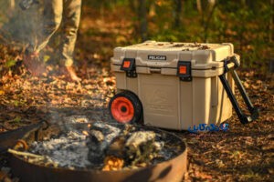 کلدباکس یا یخدان