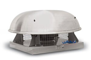 فن پشت بامی