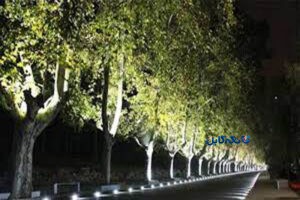 چراغ زیر درختی