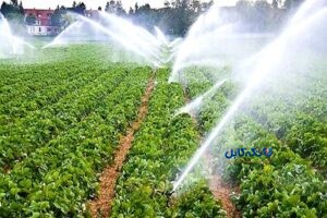 انشعاب برق برای باغ و راهکار برقدار کردن باغ