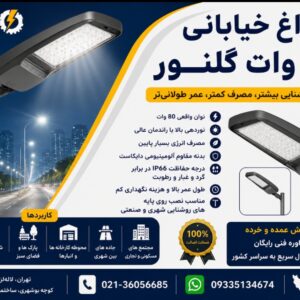 چراغ خیابانی ۸۰ وات گلنور