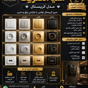 محصولات کلید و پریز آسیا الکتریک